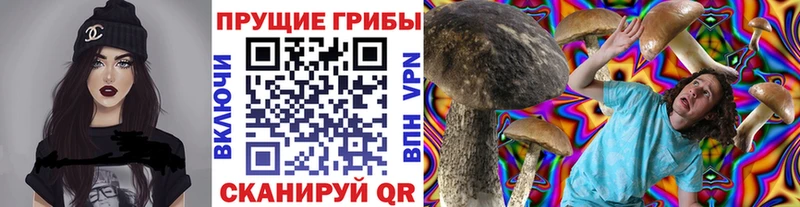 купить наркоту  Еманжелинск  Галлюциногенные грибы Magic Shrooms 