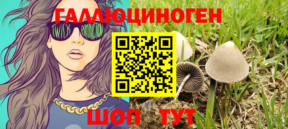 Галлюциногенные грибы прущие грибы Еманжелинск